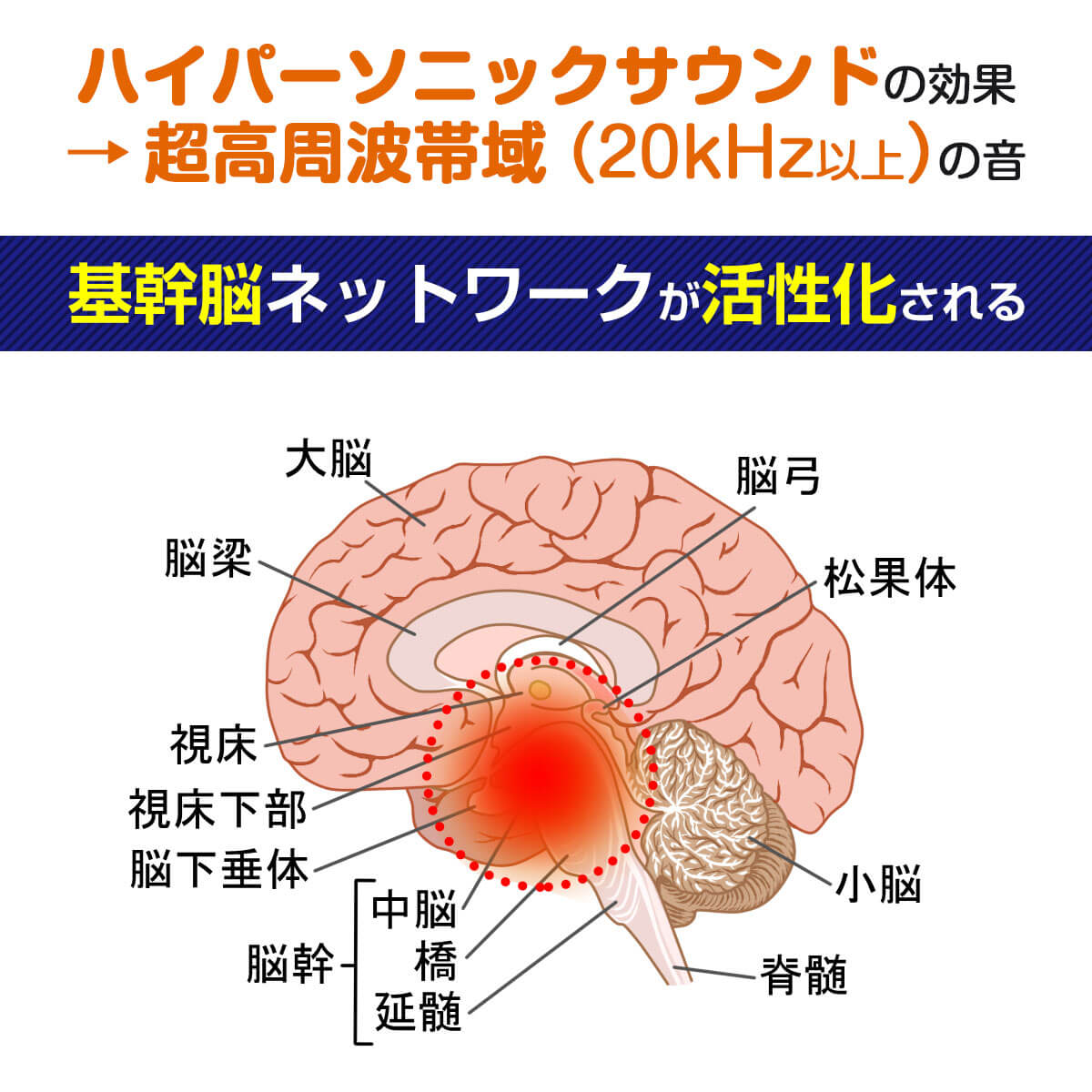 超高周波帯域(20kHz以上)の音