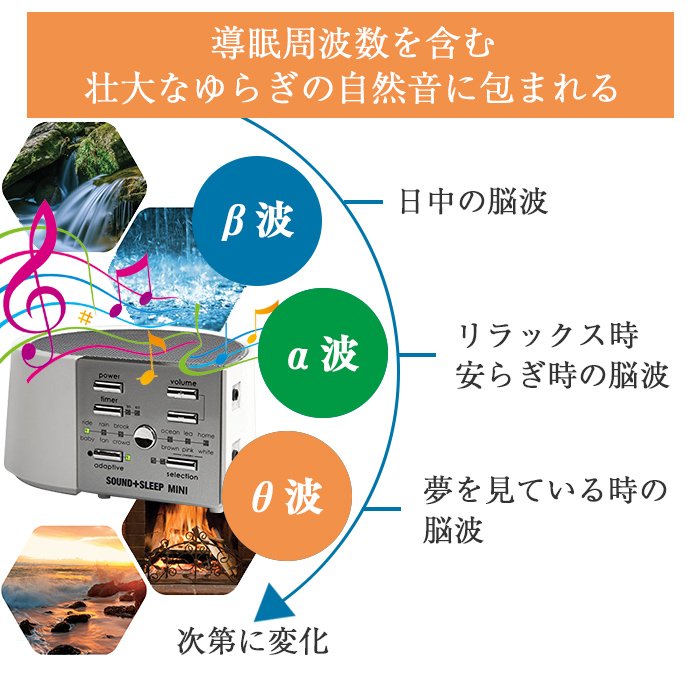 β波からα波そして夢見の状態のθ波へ変化